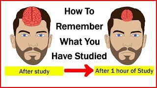 How to Remember what you study? | How to Increase your Memory Power | Letstute