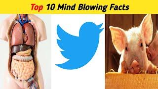 Top 10 Mind Blowing Facts | 10 गजब के रोचक तथ्य | Random Facts | #shorts