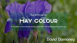 Top 10 Plants For Your Garden In May