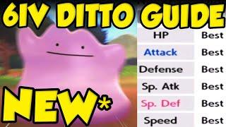 ***NEW*** FASTEST Way To Get 6IV Ditto For Pokemon Sword and Shield - Best 6IV Ditto Method