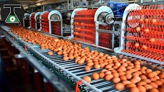 Food Industry Machines That Are At Another Level