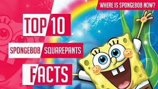 Top 10 Amazing Spongebob Squarepants Facts | What Is The Age Of Spongebob? | Hindi