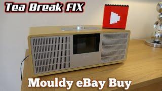 Mouldy eBay Buy - Internet Radio Repair