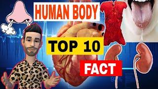 TOP 10 FACT ABOUT HUMAN BODY