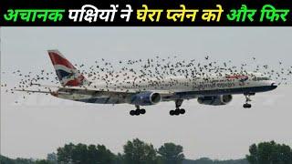 जब अचानक इतनी सारी पक्षियां प्लेन से टकरा गयी उसके बाद जो हुआ when birds hit aeroplane in air,planes