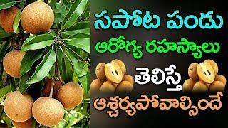 Health Benefits of Daily Eating Sapota | Top 10 Health Benefits | Sapota | Vasili Tv 55