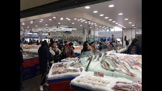 Top 10 biggest fish market in the world 2019.(latest update).