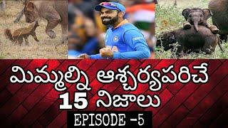 Top 15 Interesting and Amazing Facts in Telugu/Unknown Facts Telugu/Episode-5