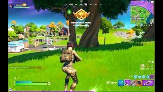 Place top 10 after landing at Dirty Docks - Fortnite