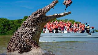 TOP 10 LARGEST CROCODILES IN THE WORLD!