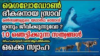 Top 10 Facts about Megalodon Shark| അതി ഭീകരനായ സ്രാവ് ഇന്നും ജീവിക്കുന്നുവോ ?