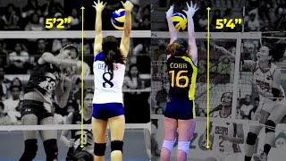 10 SHORTEST volleyball players who have BLOCKED TALLER opponents