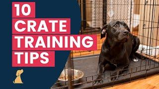 Crate Training Tips - 10 Hacks To Help Your New Puppy Love The Crate
