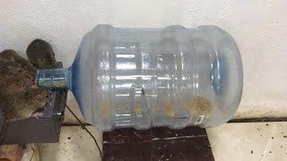 Top 10 Mouse/ Rat Trap | Best Idea Mouse Trap Water 