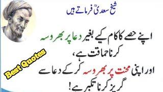 Shiekh Saadi quotes | Best Urdu shiekh saadi and Mulana Rumi Quites 2021