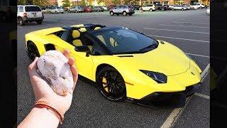 guy throws rock at lamborghini...