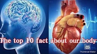 The top 10 fact about our body|| The top 10||