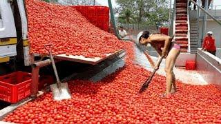 इनके काम करने की स्पीड आप नंगी आँखों से नहीं देख पाओगे top 10 fastest worker on the planet