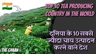 || Top 10 Tea producing Country in the World|| दुनिया के 10 सबसे ज्यादा चाय उत्पादन करने वाले देश ||