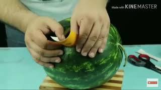 TOP 10////WATERMELON////(IDEA)//!!!