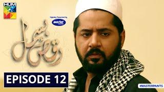 Raqs-e-Bismil | Episode 12 | Digitally Presented By Master Paints | HUM TV | Drama | 12 March 2021