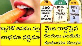 Top Interesting And Unknown Facts | Amazing Facts Telugu | CTC Facts | Telugu badi