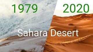 Snow Fall In Sahara 1979 Top 10 Fact That Can Blow Your Mind