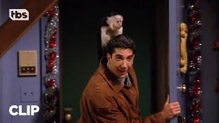 Friends: Ross Gets A Pet Monkey Named Marcel (Season 1 Clip) | TBS
