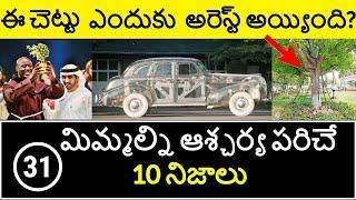 Top 10 Unknown Facts in Telugu | Interesting and Amazing Facts | Part 31| Minute Stuff