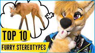Top 10 Furry Species Stereotypes