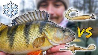 Dropshot vs Jig Head *Winter Edition* ❄️ - WHAT WORKS BEST FOR PERCH (Challenge) | Team Galant