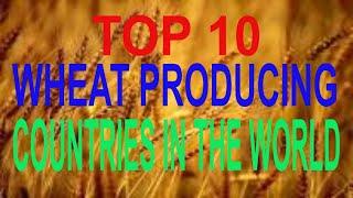 Top 10 Wheat Producing Countries 2018  | Data visualization