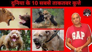 STRONGEST DOG IN THE WORLD!! | BAADAL BHANDAARI | WORLD TOP 10 DOGS |9878474748|TOP 10 DOGS OF 2020|