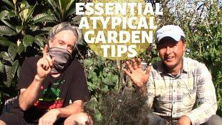 10 Atypical Organic Gardening Tips that Improve Every Garden