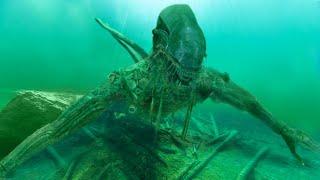 12 Terrifying Objects Found In The Sea