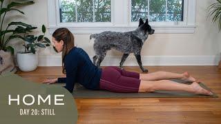 Home - Day 20 - Still  |  30 Days of Yoga With Adriene