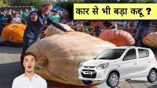 दुनिया का सबसे बड़ा कद्दू और 10 अजीब तथ्य | Top 10 facts and world biggest pumpkin