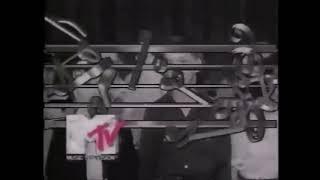 RebelHank Bumpers #32