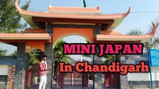 Top 10 chandigarh tourist places // mai se ek hai ye japanese garden // Amit Roy