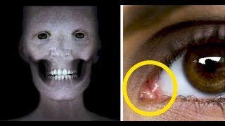 20 AMAZING Facts to Blow Your Mind! | Top Curious