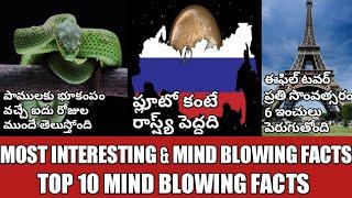 Top 10 mind blowing facts