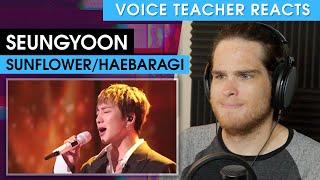 Seungyoon - Haebaragi (Sunflower) | Voice Teacher Reacts