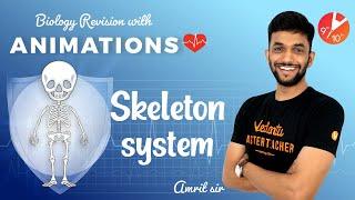 Skeleton System 