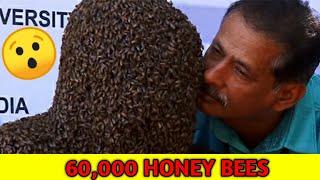 Top 10 most shocking facts | Kerala nature ms honey bee record