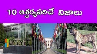 Amazing Facts In Telugu | Top 10 Interesting Facts In Telugu| Top 10 Unbelievable Facts In Telugu