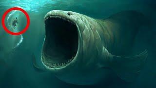 10 Most DANGEROUS Ocean Creatures In The World!