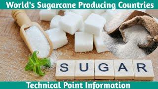 World Sugarcane Producing Countries || Top 10 Sugarcane Countries || Technical Point Information ||