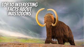 Top 10 Interesting Facts About Mastodons || Mastodons || Facts || BRIGHTLIGHT