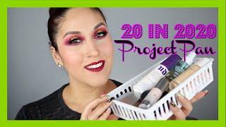 20 in 2020 Rolling Project Pan Intro!