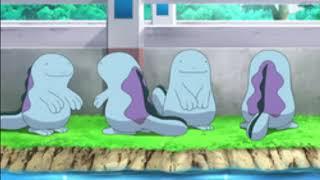 top 10 reason why quagsire epic.mp4